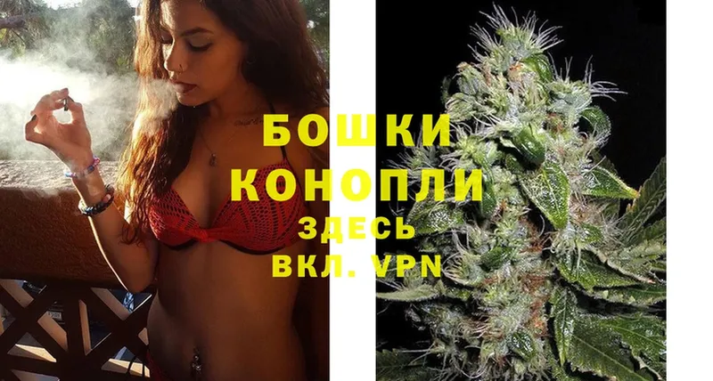 Конопля White Widow  Болохово 